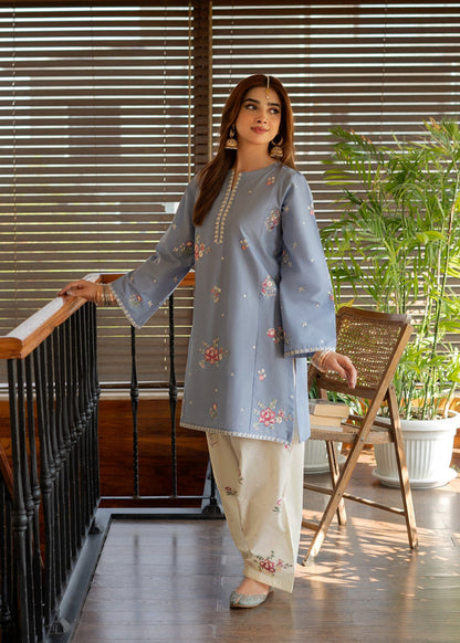 Persian Dusty Blue Farsi Co-ord Set